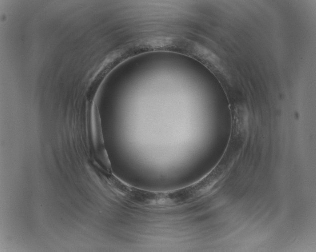 X0000073430212200607281159