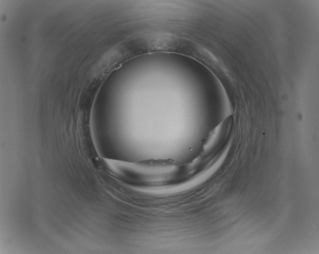X0000073430217200607281159