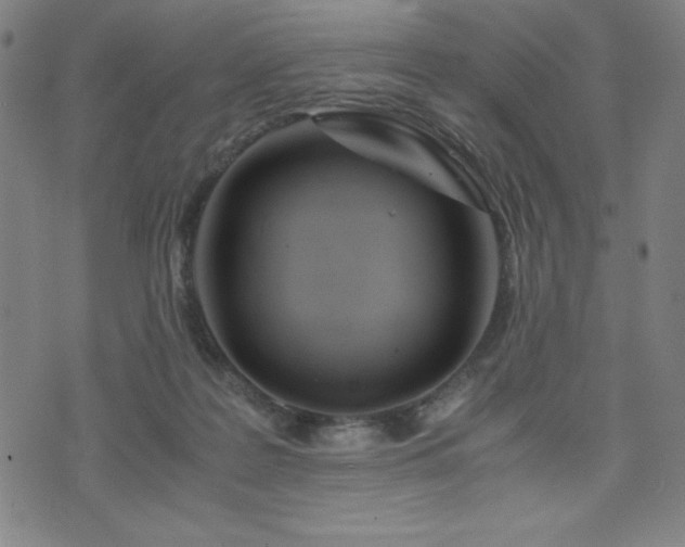 X0000073430219200607281159