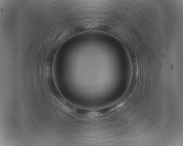 X0000073430227200607281159