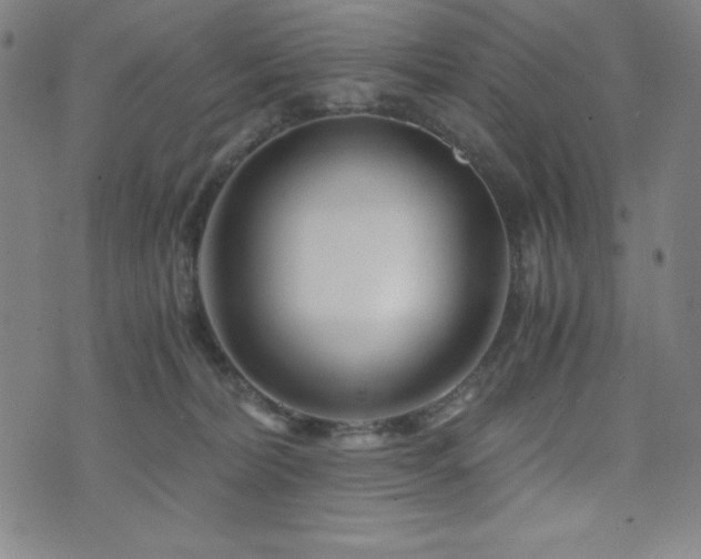 X0000073430228200607281159