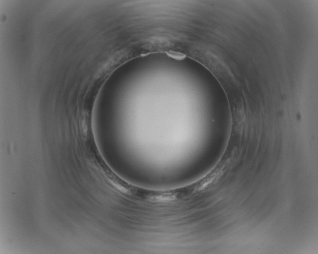 X0000073430232200607281159