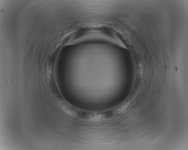 X0000073430235200607281159