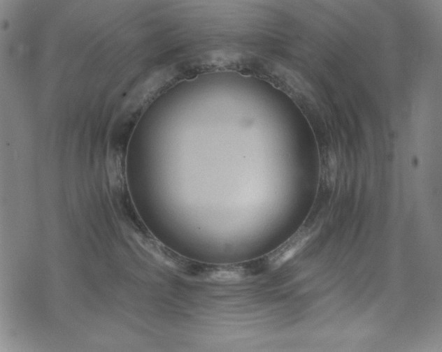 X0000073430236200607281159