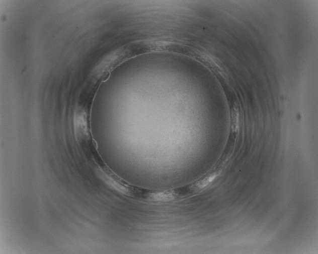 X0000073430238200607281159