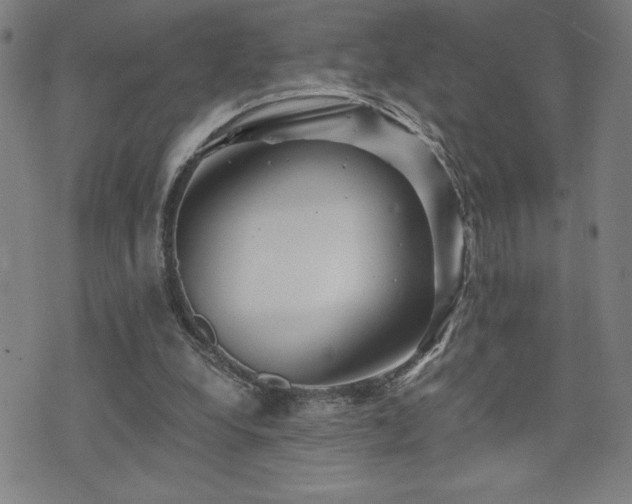 X0000073430248200607281158