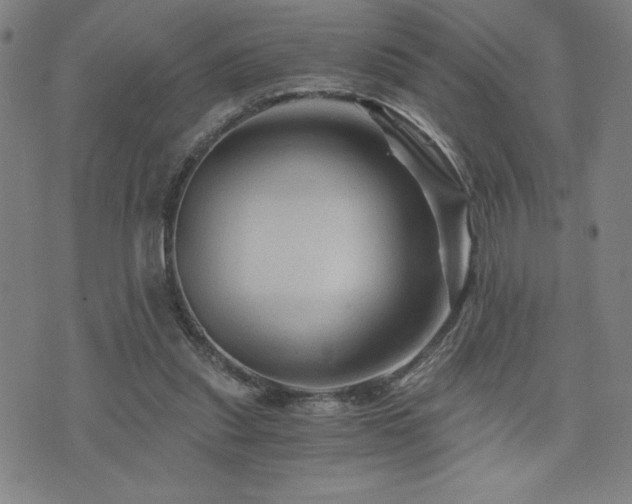X0000073430253200607281158