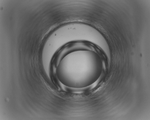 X0000073430256200607281158