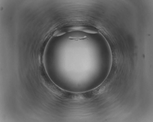 X0000073430262200607281158