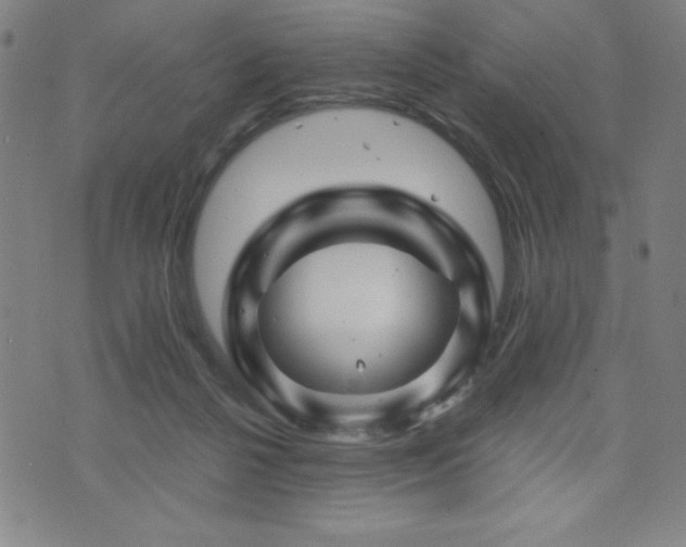 X0000073430264200607281158