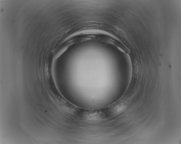 X0000073430267200607281159