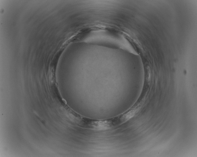 X0000073430273200607281159
