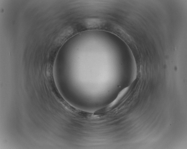 X0000073430277200607281159