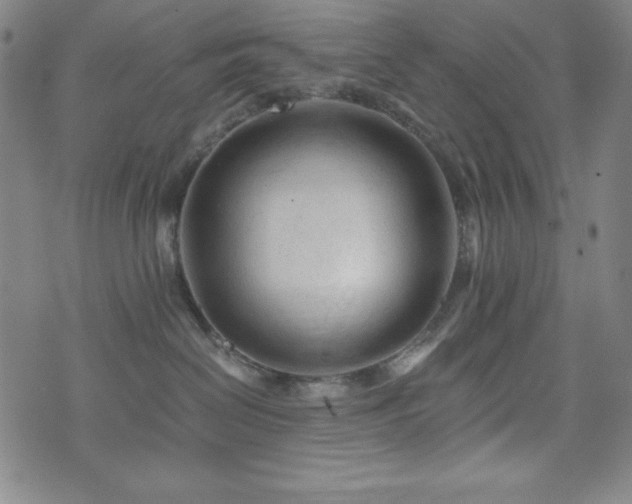 X0000073430286200607281159