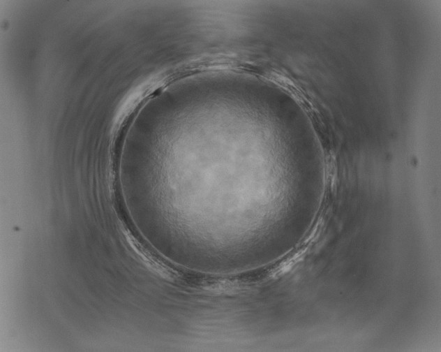 X0000073430293200607281158