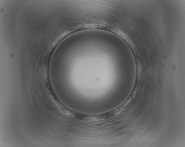 X0000073430297200607281158