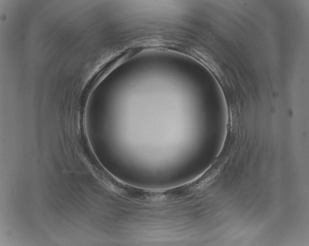 X0000073430301200607281158