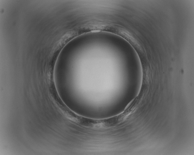 X0000073430309200607281158