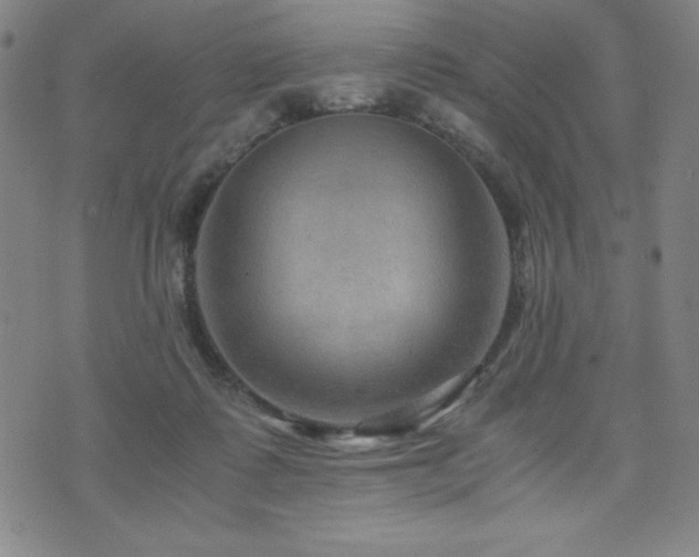 X0000073430315200607281158