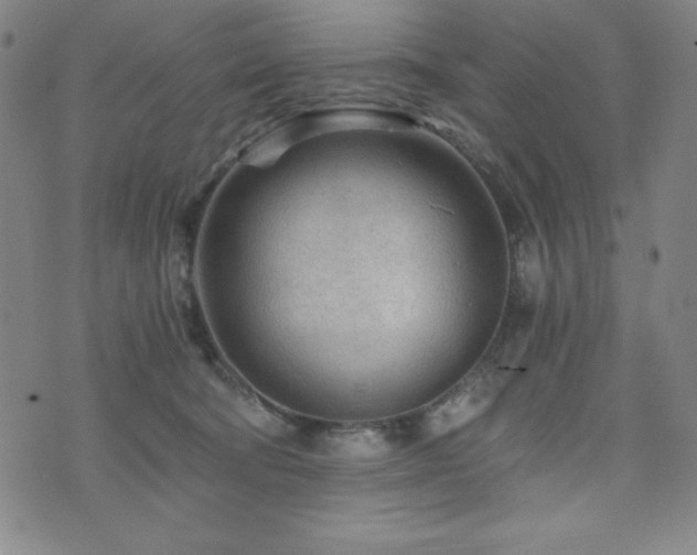 X0000073430322200607281158