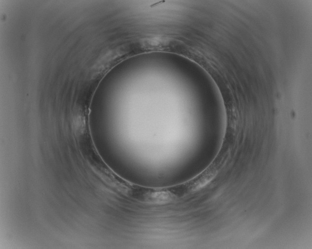 X0000073430324200607281158