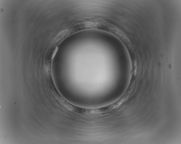 X0000073430329200607281157