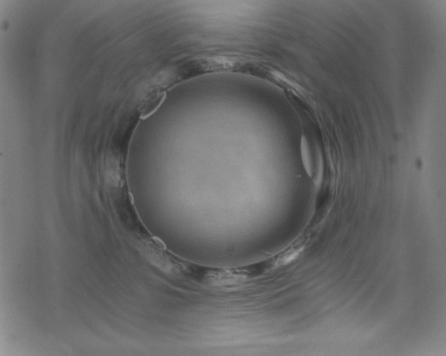 X0000073430331200607281157