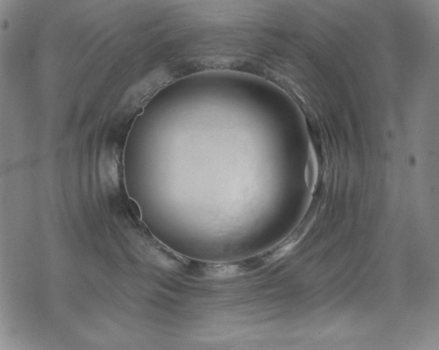 X0000073430334200607281157