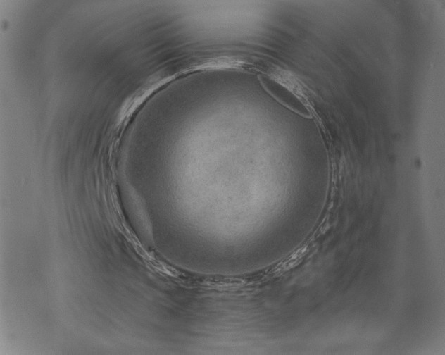 X0000073430337200607281157