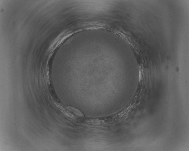 X0000073430339200607281157