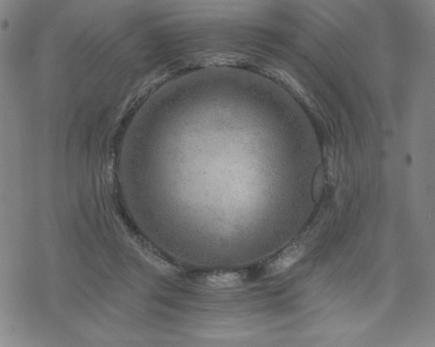 X0000073430357200607281157
