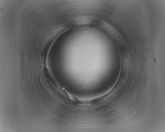 X0000073430362200607281157