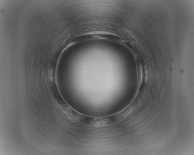 X0000073430368200607281157