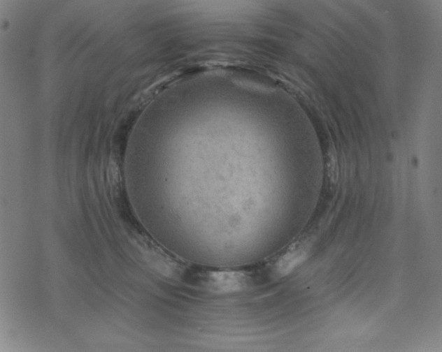 X0000073430371200607281157