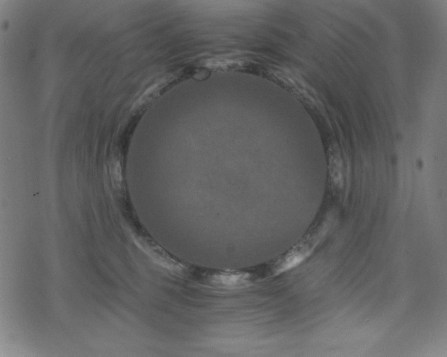 X0000073430375200607281157