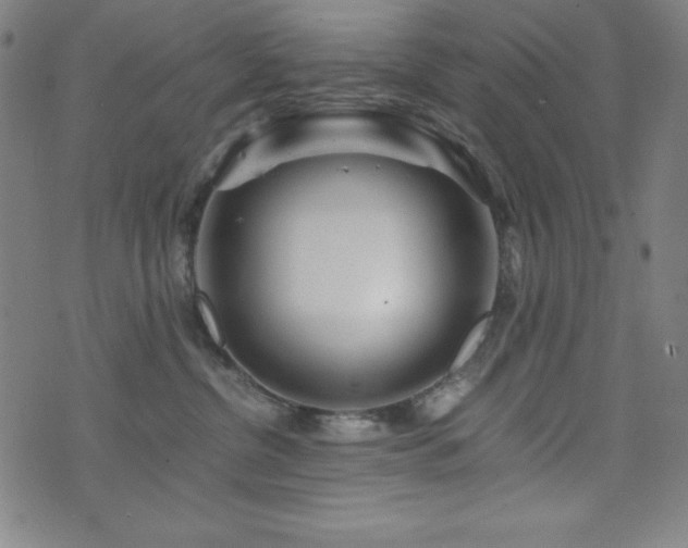 X0000073430380200607281157