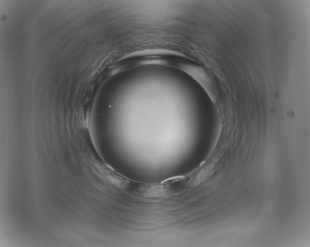 X0000073430384200607281157