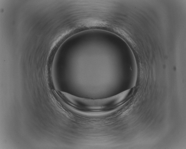 X0000073430391200607281156