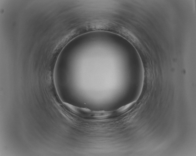 X0000073430401200607281156