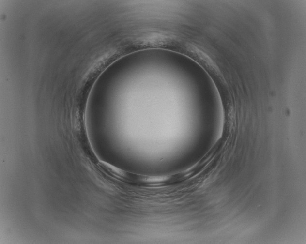 X0000073430403200607281156