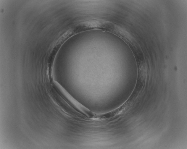 X0000073430406200607281156