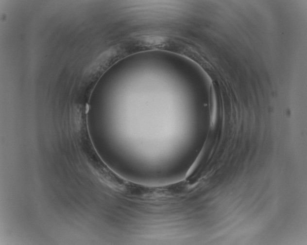 X0000073430412200607281156