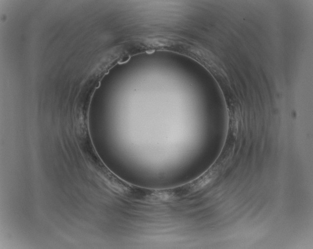 X0000073430418200607281156