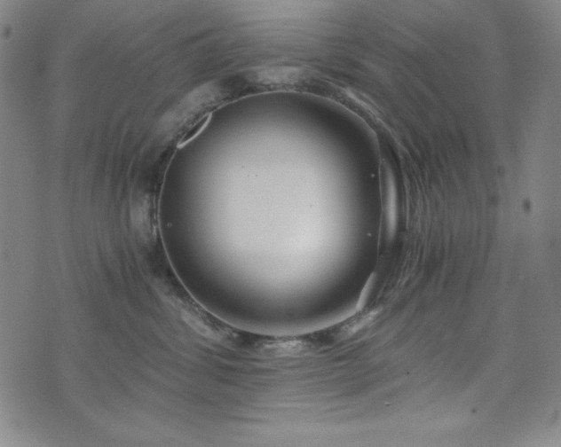 X0000073430428200607281156