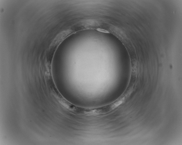 X0000073430430200607281156