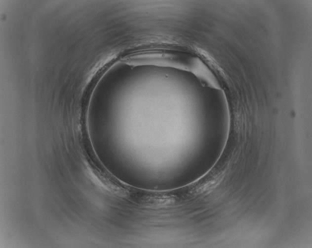 X0000073430443200607281155
