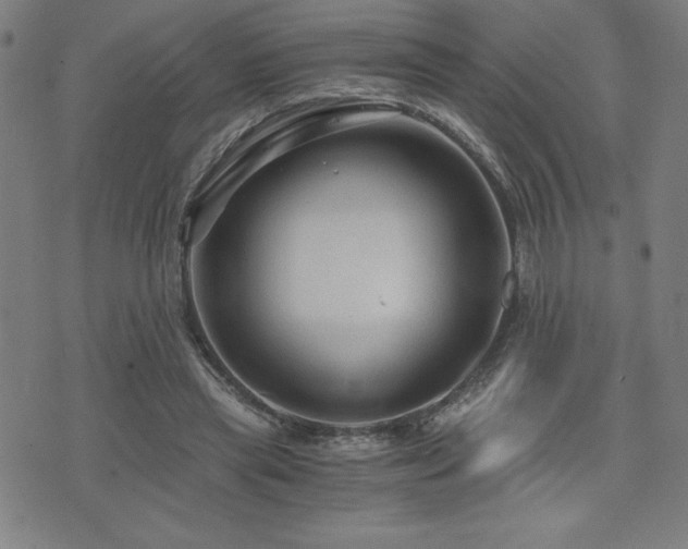 X0000073430445200607281155
