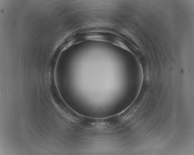 X0000073430448200607281155