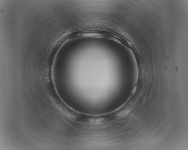 X0000073430450200607281155