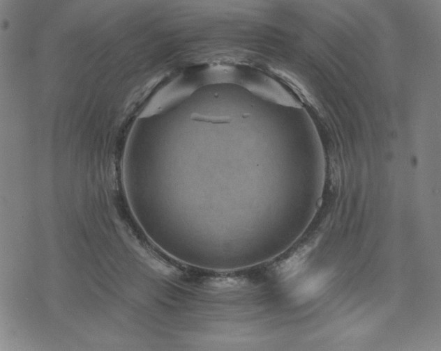 X0000073430453200607281155